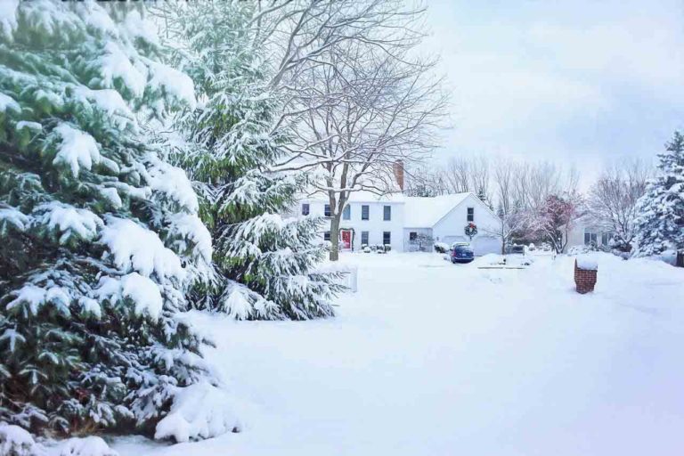 White suburban house in winter with lawn and trees covered in snow